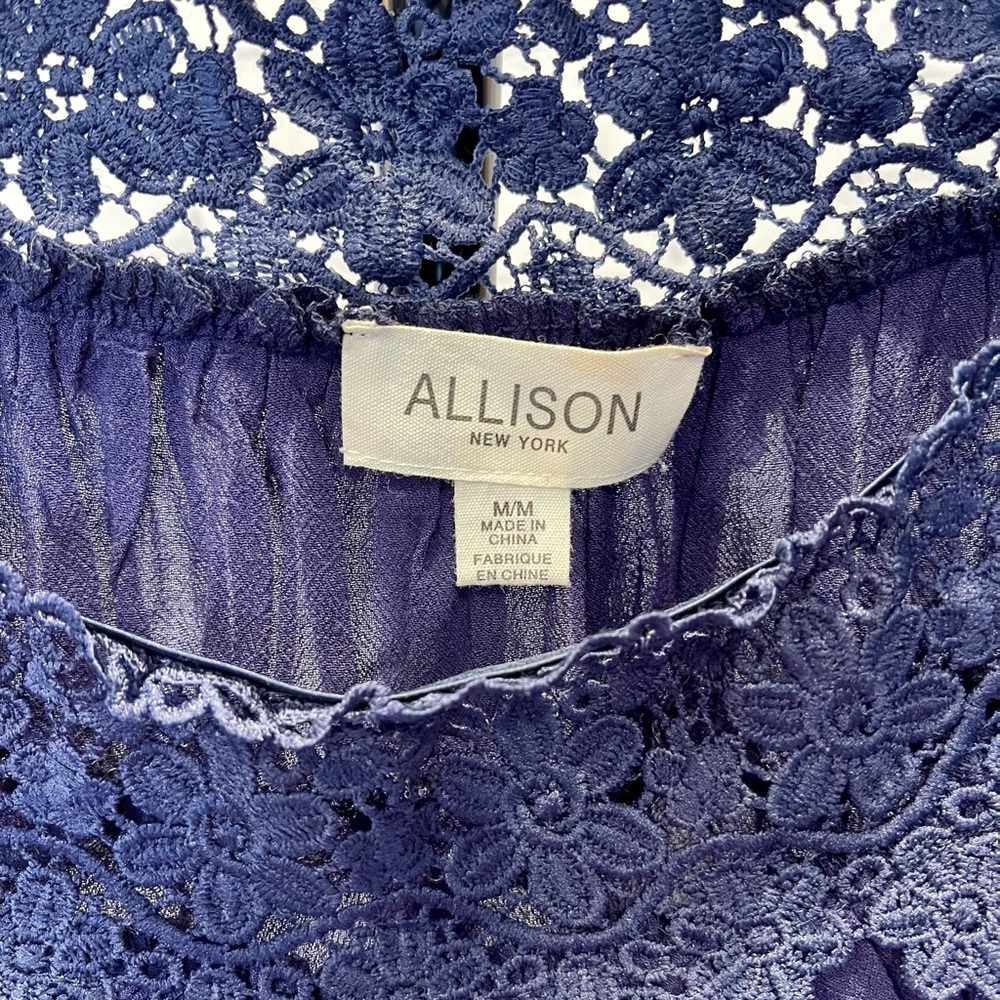 Allison New York Lace top in Blue